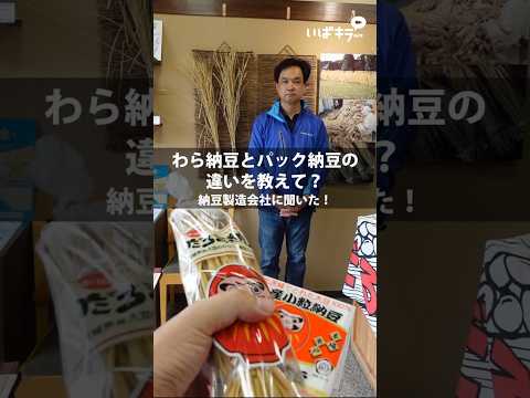 だるま納豆#納豆#納豆ごはん#水戸市#茨城県