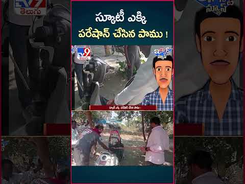 iSmart News : స్కూటీ ఎక్కి  పరేషాన్ చేసిన పాము !  | Sanke in Scooty - TV9