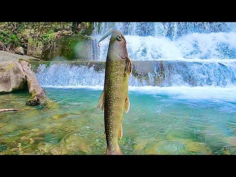 レベチ山奥の川まで釣りいってみた