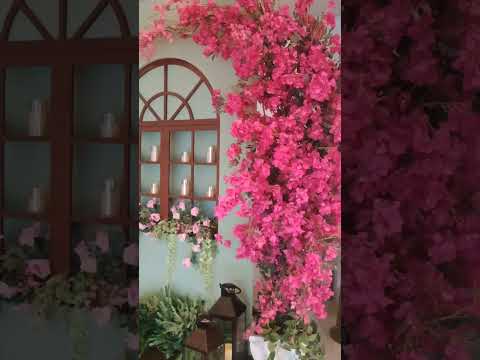 😱😍Beautiful Cafe❤️#shorts#ytshorts#youtubeshorts#viral#reels#shortsfeed#explore#tiktok#song#trending