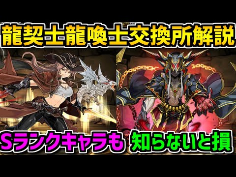 龍喚士&龍契士交換所解説！Sキャラを絶対に逃すな！知らないと損！【パズドラ】