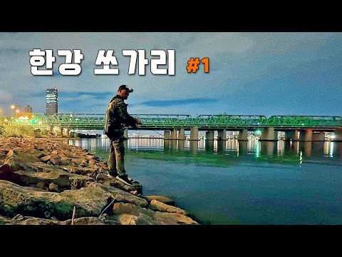 서울 쏘가리 낚시 <strong>투어</strong> / 메가시티 서울 시내 한강에서 캐스팅 해 봅니다~/ 한강쏘가리 #한강 #서울 #쏘가리
