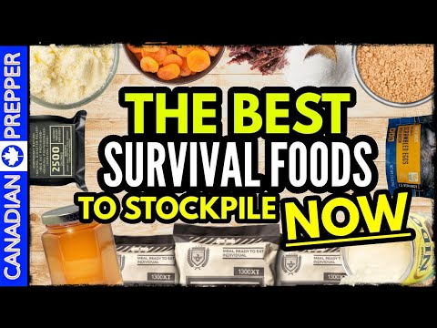 survival foods to stockpile