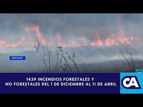 1439 incendios forestales registrados de diciembre a la fecha dice CONRED