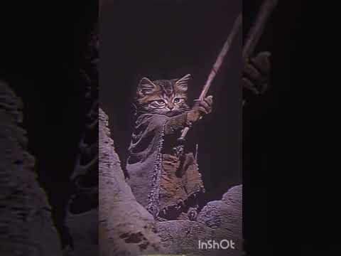 GANJARAN BAGI PENYIKSA SERTA PENYAYANG KUCNG