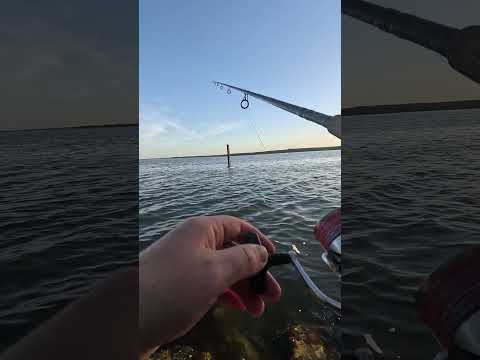 Saltwater Fishing JMC Baits Hand Tied Jigs #miami #fishing #outdoors