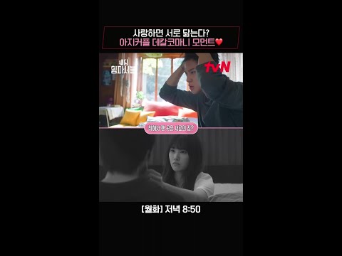 [아지커플 데칼코마니 씬 모음] 서로 지켜주기, 고백하기💕 #웨딩임파서블 EP.10