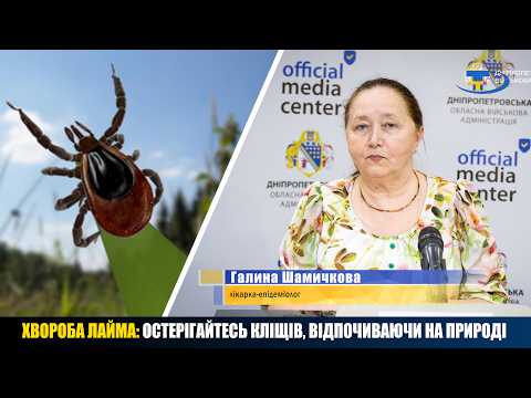 У розпалі й сезон активності кліщів, які можуть переносити хворобу Лайма