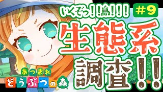 【あつ森】コレクションをささげる！！！【＃天輝日和】