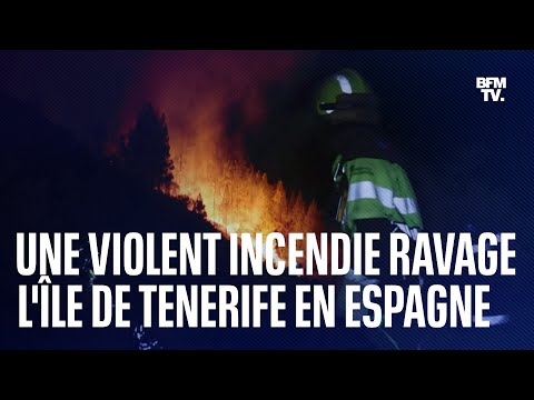 Un incendie hors de contrôle ravage l’île de Tenerife aux Canaries