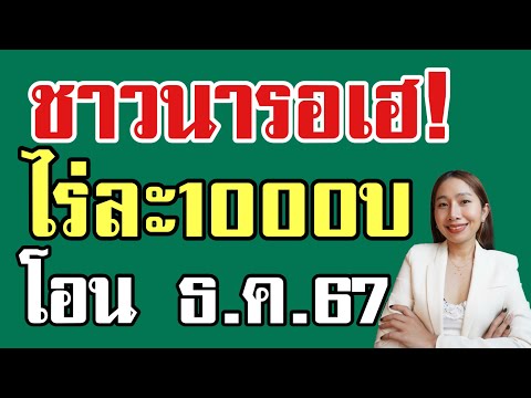 ชาวนารอเฮ!ไร่ละ1000พร้อมโอน