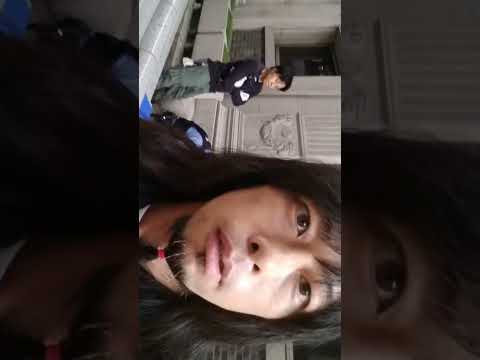 ライブ ハイライト