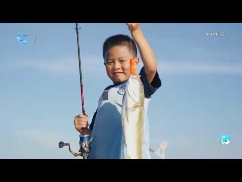 猫の動画サムネイル - 【大陸】浪花：我的「八分」小孩