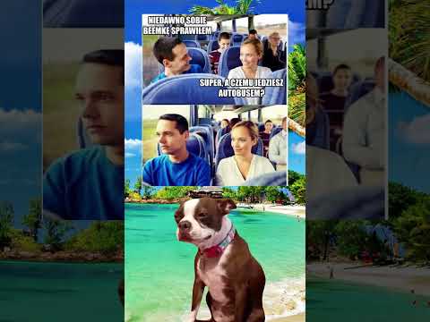 Życie po zakupie BMW #shorts #śmieszne #memy #polska