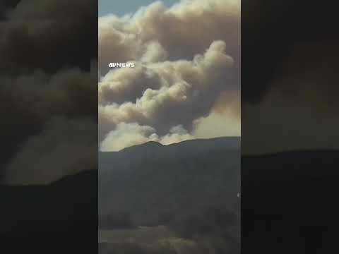 Incêndio florestal provoca evacuação na região de Los Angeles, nos EUA #shorts