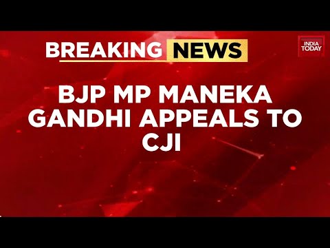 Breaking News: Maneka Gandhi Appeals To CJI Gawai: Hear All Sides On 'Rubbish' Order | India Today