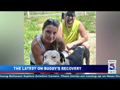 The Latest on Buddy’s Recovery