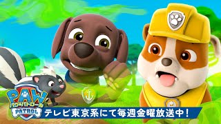 動画サムネイル