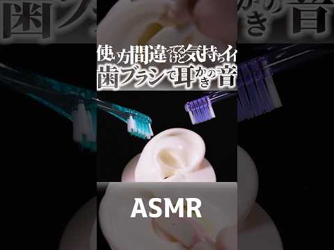 【ASMR】まぁた使い方間違ってるけど気持ちイイ😂歯ブラシで強力に耳かき🪥ナイロンとシリコンの2種類の歯ブラシで鼓膜がピリピリする耳掃除の音🎧一分で寝れる😴両耳同時で高音圧🤤睡眠導入😪 #shorts