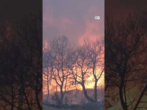 Spain: Wildfire rages in Catalonia | DW News