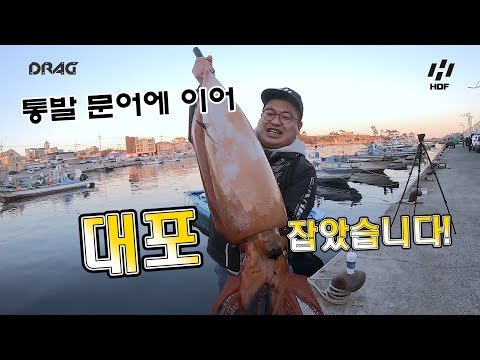 문어에 이어! 대포 오징어까지! 새해 대박영상! (새해2부)