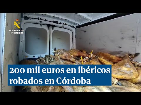 Detenidos por el robo de más de 700 piezas de ibéricos con valor de 200 000 euros