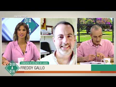 Freddy Gallo: Contaminación de los lagos de Ciudad de la Costa