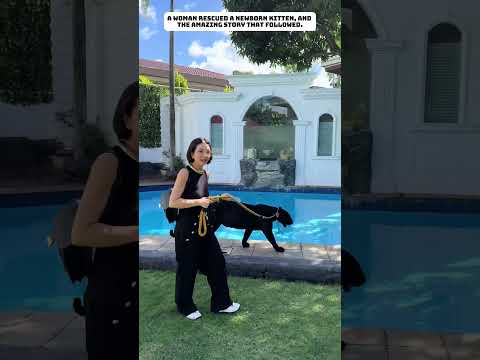 A family adopted an abandoned leopard cub.