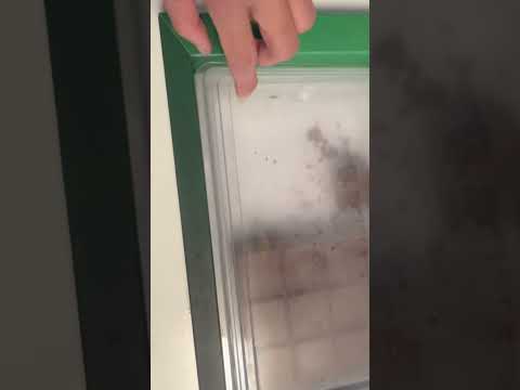 1 kg of Dubai chocolate