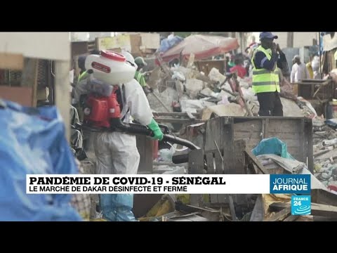 Coronavirus : confinement en Afrique du Sud et Madagascar, couvre-feu à Dakar et Alger