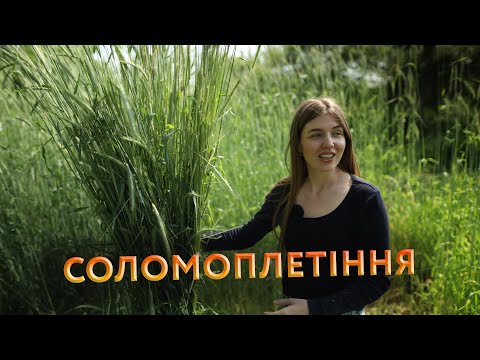 Відтінки української культури через солом'яне плетіння