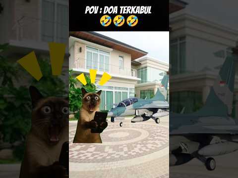 #meme #cat #kucing #kucinglucu #fypシ