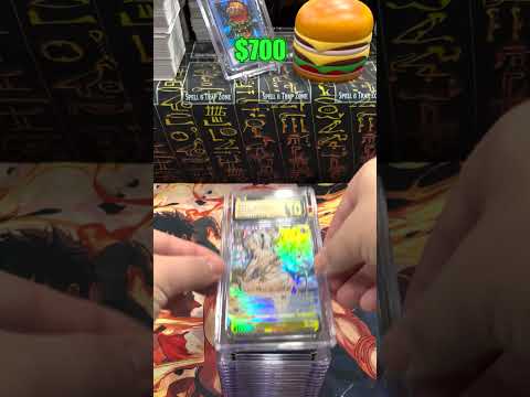 The Craziest Azur Lane Slab Collection Ever