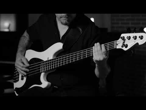 Opeth - 'Paragraph Two' - Martin Mendez Bass Playthrough Video