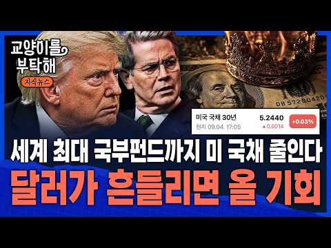 [이슈읽기] "이제 베센트도 다급해졌다" 세계 최대 국부펀드까지 미 국채 줄인다...달러가 흔들리면 결국 <strong>돈은</strong> 어디로 갈까 / 교양이를 부탁해 / 통합본