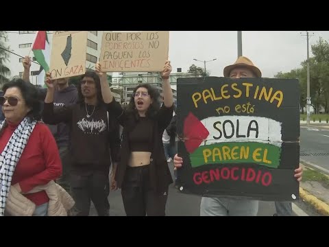 Ecuadorians march to Israeli embassy in Quito in show of support for Palestinian people