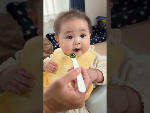 はじめての小松菜。意外といけた【生後6ヶ月】