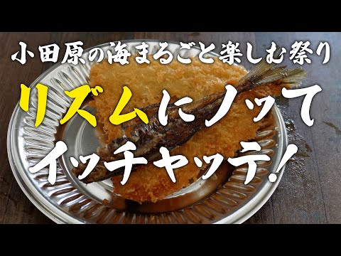 【56秒 PR】「小田原みなとまつり」に行ってきて今これ!