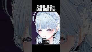 은혜를 모르는 보라 머리 짐승