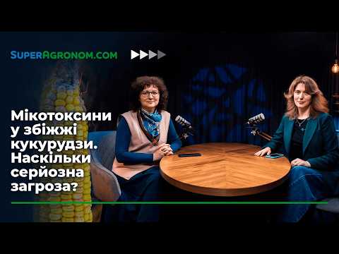 Неякісне збіжжя кукурудзи: Fusarium verticillioides та інші патогени — Як боротися? /СуперАгроном