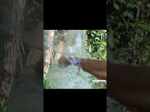 Reality vs Slow motion magic 💥 #slowmotion #edit #music