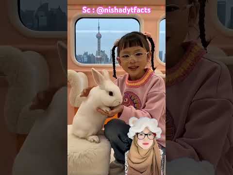 Adik naik kereta kelinci 🐇⁉️ @nishadytfacts