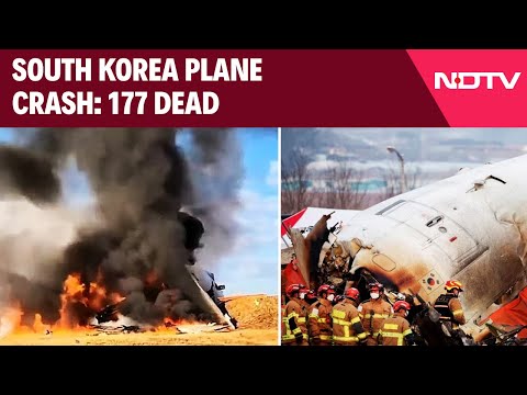 South Korea Plane Crash LIVE | South Korea News | South Korea Crash | South Korea Plane Crash