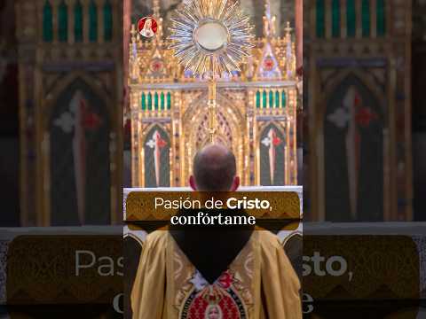 Alma de Cristo #shortvideo #jesus