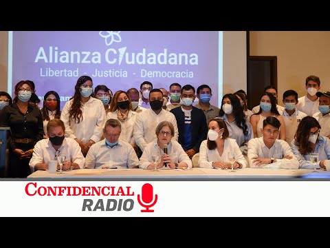 El fracaso de la alianza electoral opositora: entrevista con Julio González del PRD