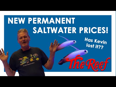 BIG ANNOUNCEMENT! New PERMANENT saltwater prices! Has Kevin gone mad? See how and why our new saltwater prices are ridiculously low, plus some other s