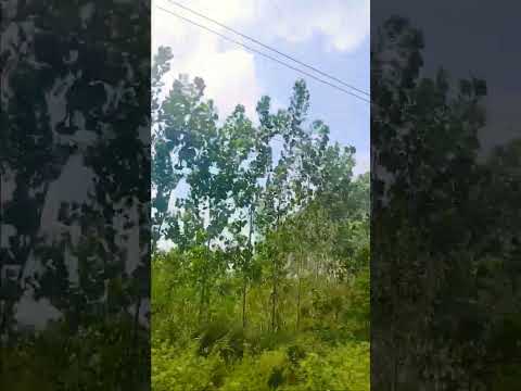 Travel shorts🏍️Ab tere bin jee lenge hum🥹😱🖤long#distance#drive#tranding#💔sadlove#hindisong🥀🥺💜🖤🎶✅💯