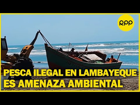 Pesca en Lambayeque: 87% de embarcaciones artesanales son informales
