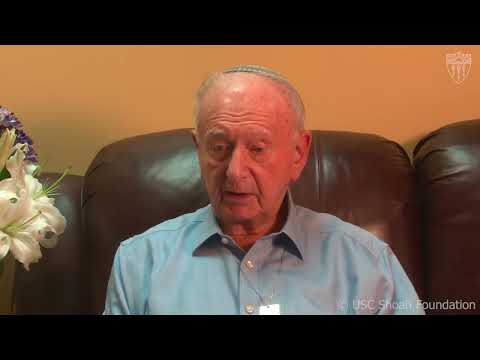 Holocaust Survivor | Norbert Strauss | USC Shoah Foundation