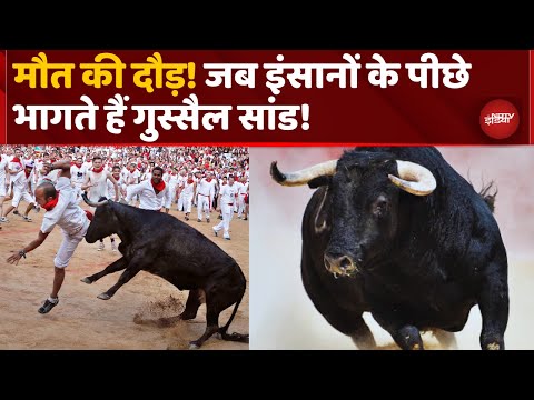 Spain Bull Race: स्पेन में क्यों खेला जाता है ये 'मौत का खेल'? | Top News | World | San Fermin
